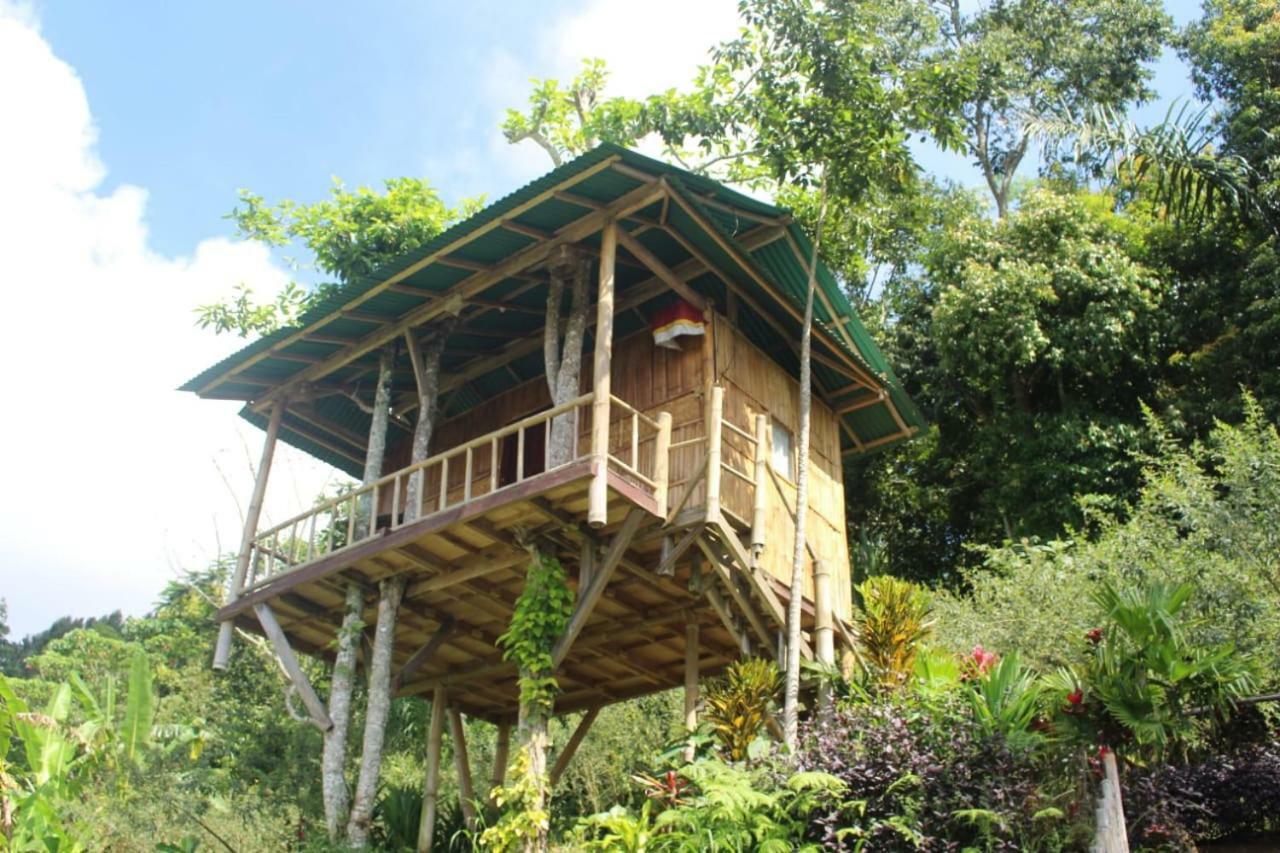 Bali Tree House Pelangi Apartment Bedugul  Ngoại thất bức ảnh