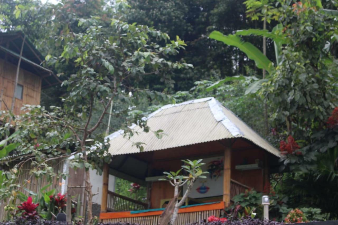 Bali Tree House Pelangi Apartment Bedugul  Ngoại thất bức ảnh