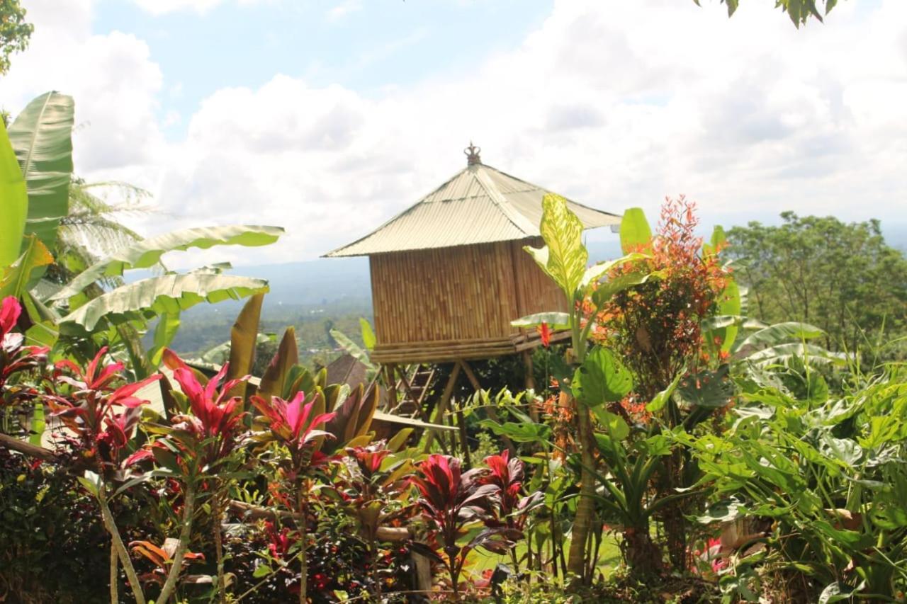 Bali Tree House Pelangi Apartment Bedugul  Ngoại thất bức ảnh